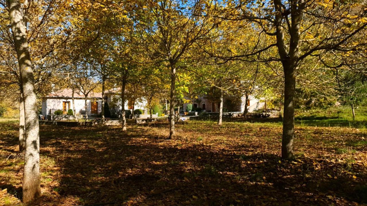 Andrea Sofi Guesthouse ディミツァナ エクステリア 写真