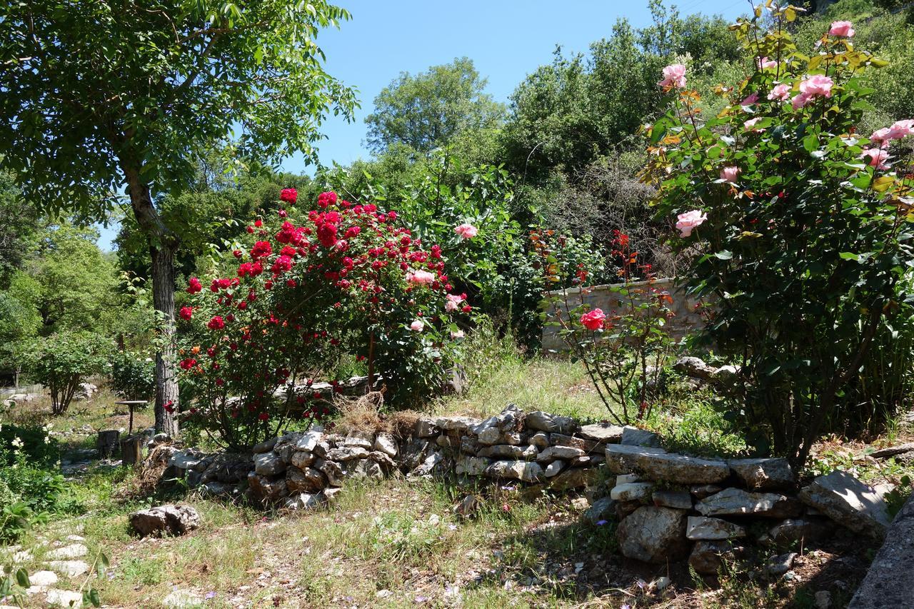 Andrea Sofi Guesthouse ディミツァナ エクステリア 写真